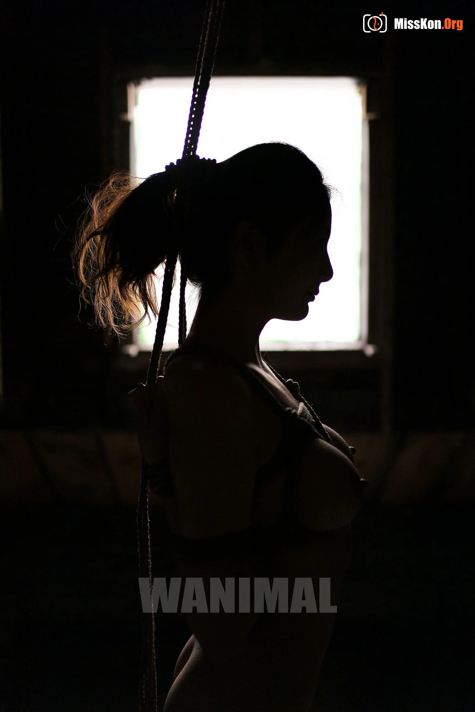 Wang Dong WANIMAL Collection - Photo 2