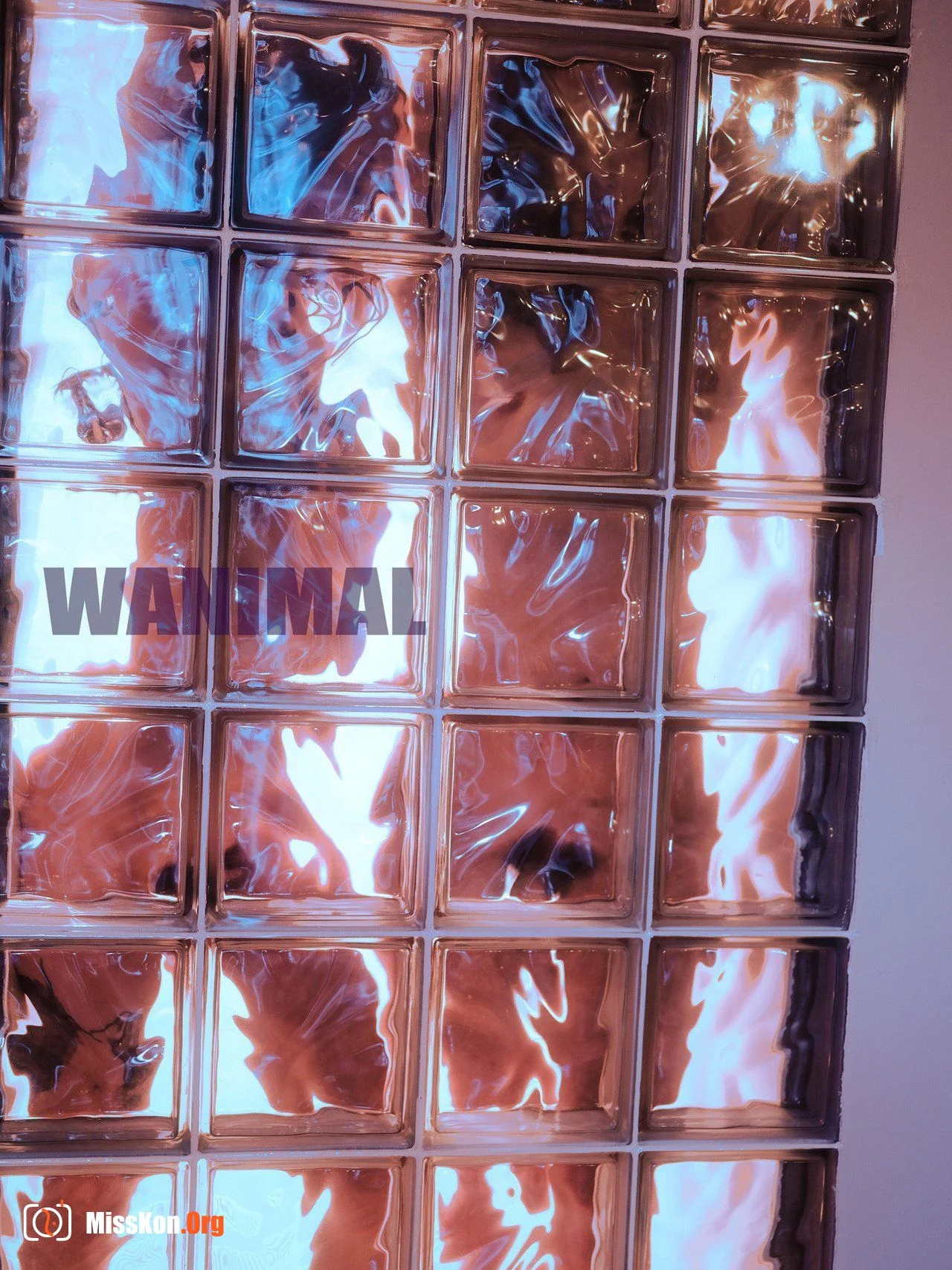 王动WANIMAL Tumblr写真收集 - 照片 13