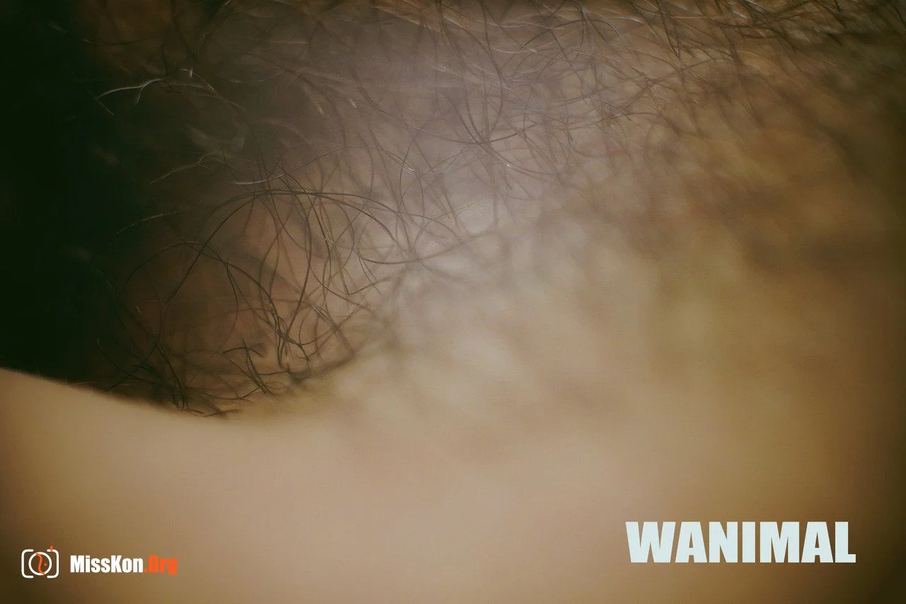 Wang Dong] WANIMAL Tumblr photo collection - Photo 17