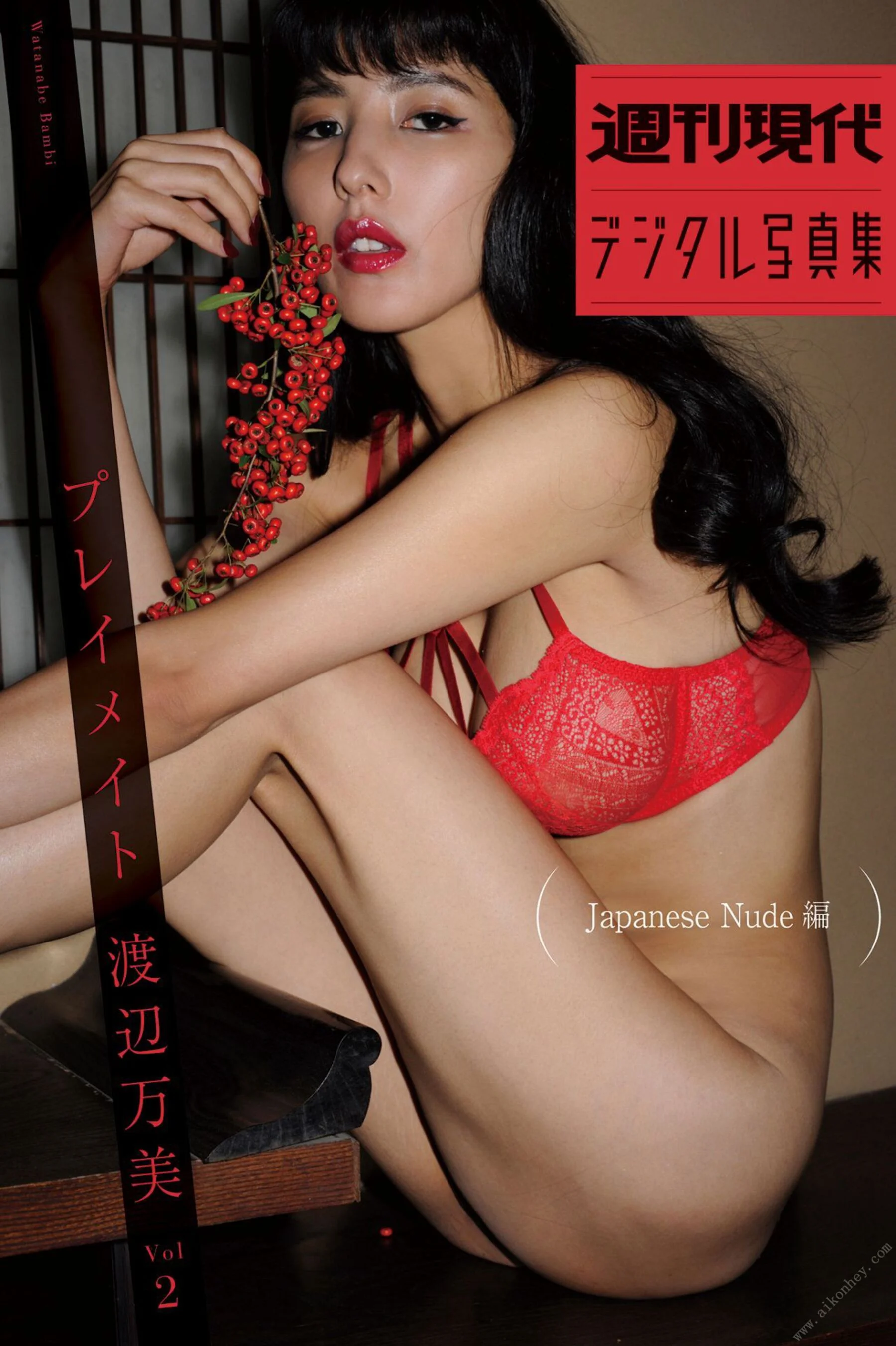 Watanabe Manmi: Playmate Japanese Nude Edition Playmate japanse nude (Weekly Gendai Digi)