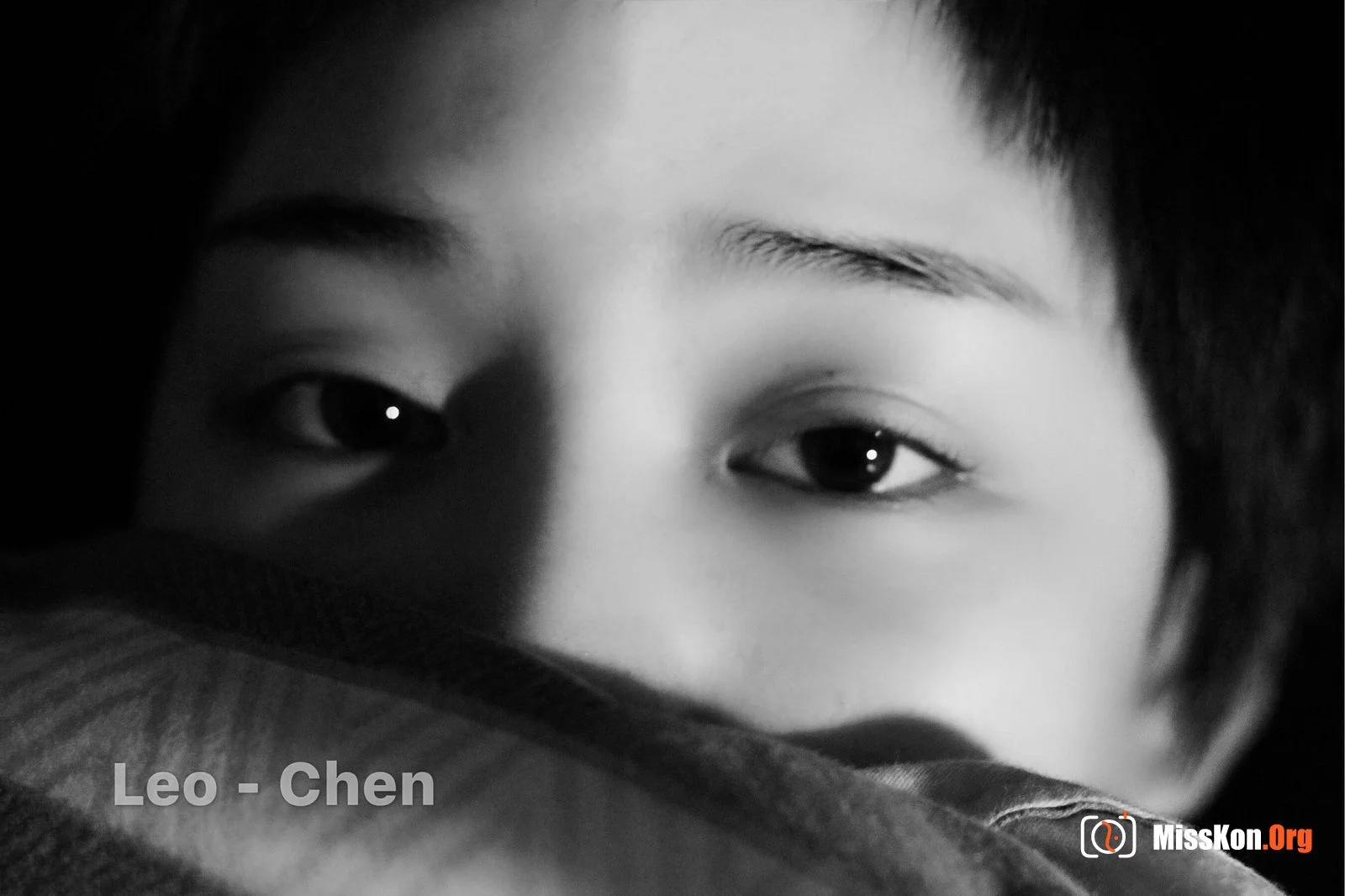 Web collection of photographer Leo Chen's works - Photo 10