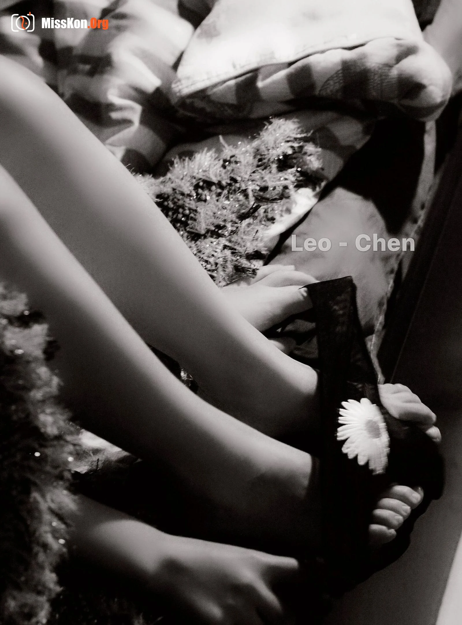 Web collection of photographer Leo Chen's works - Photo 13