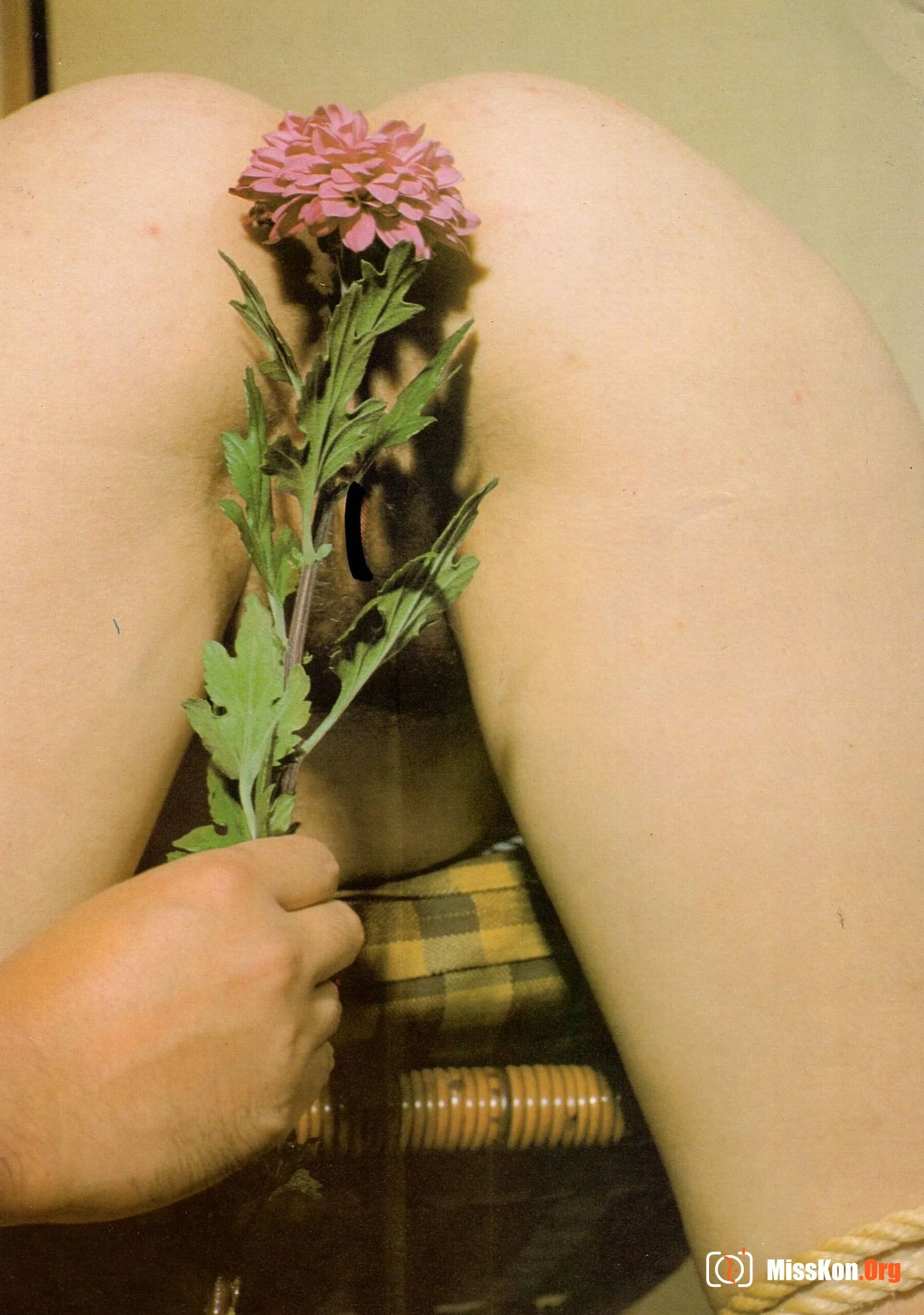 Western female blame - Photo 19