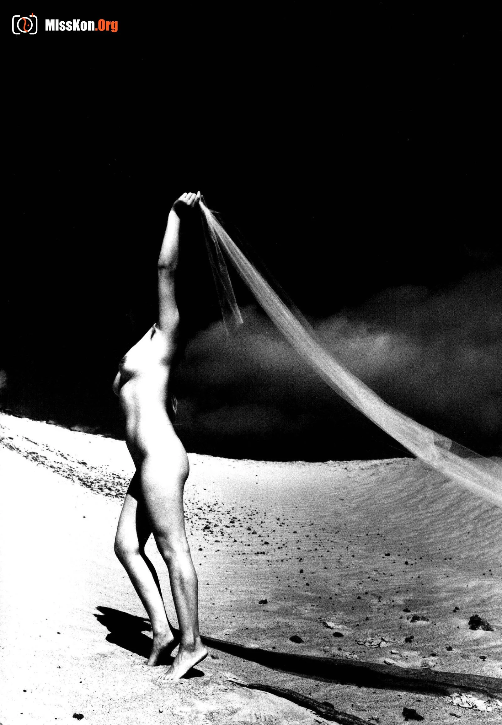 White as snow, black and white human body photography art - Photo 16