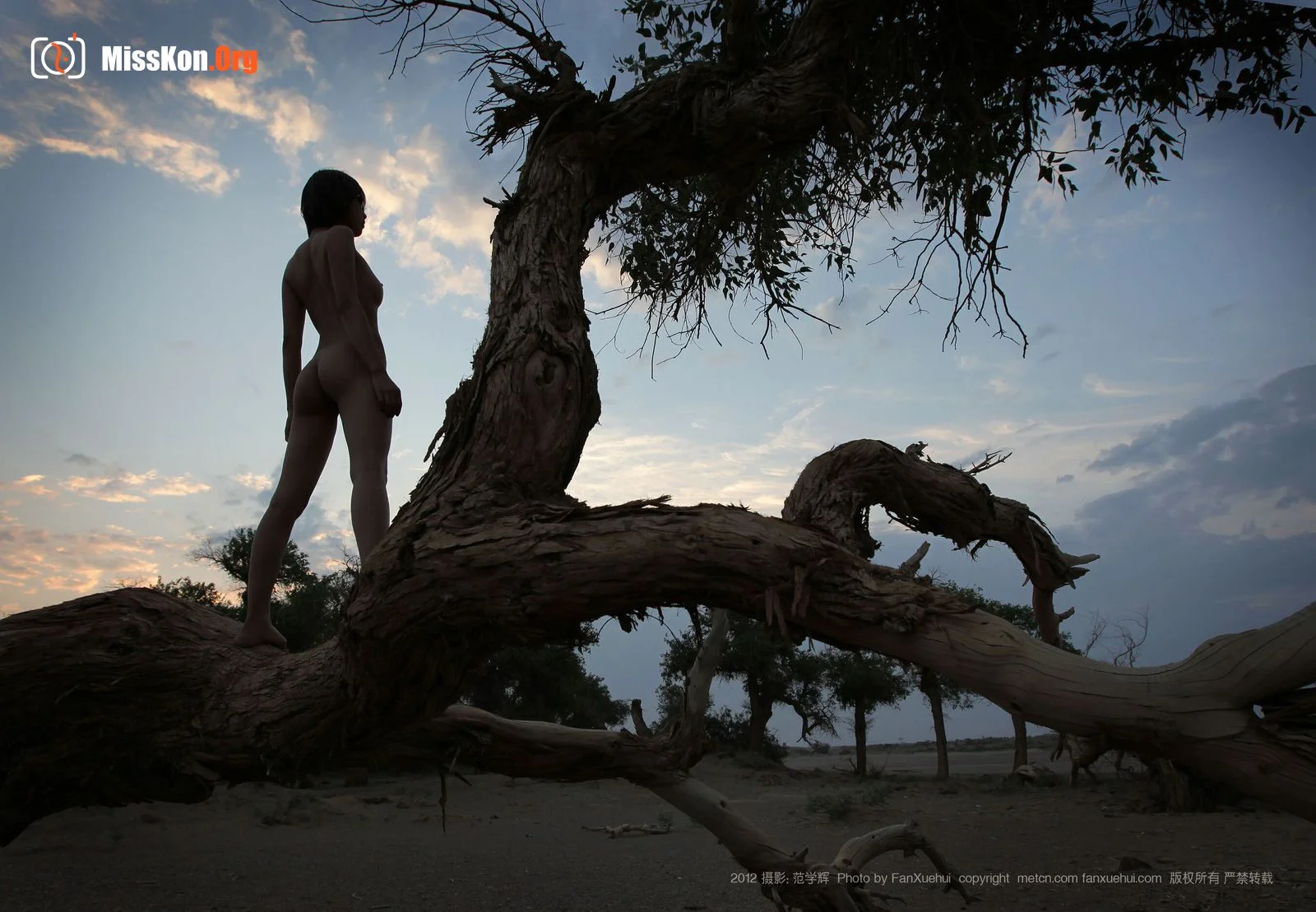 Xia Bing: Qingfeng Populus euphratica 1 (2012-07-27) - Photo 10