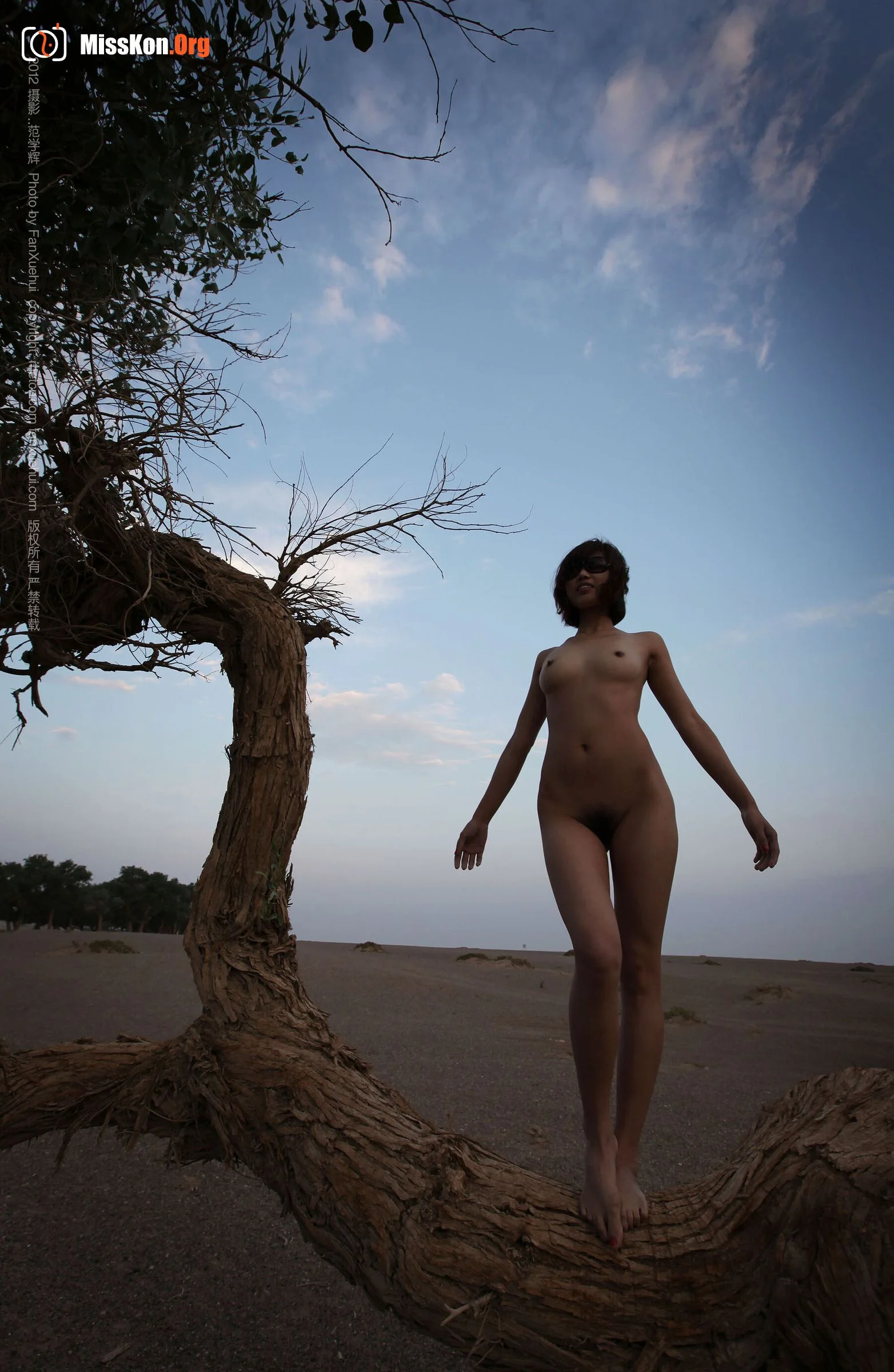 Xia Bing: Qingfeng Populus euphratica 1 (2012-07-27) - Photo 12