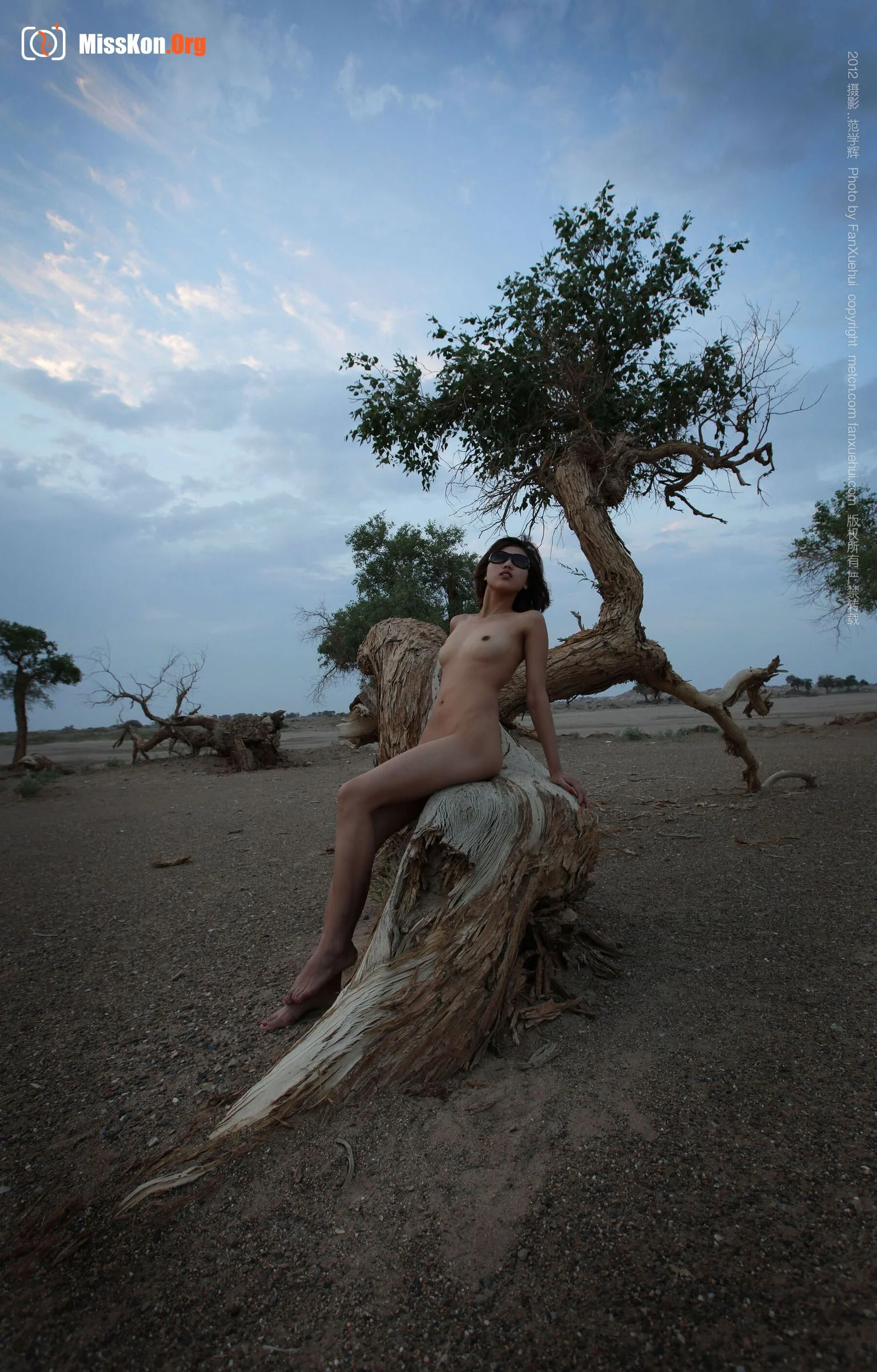 Xia Bing: Qingfeng Populus euphratica 1 (2012-07-27) - Photo 2