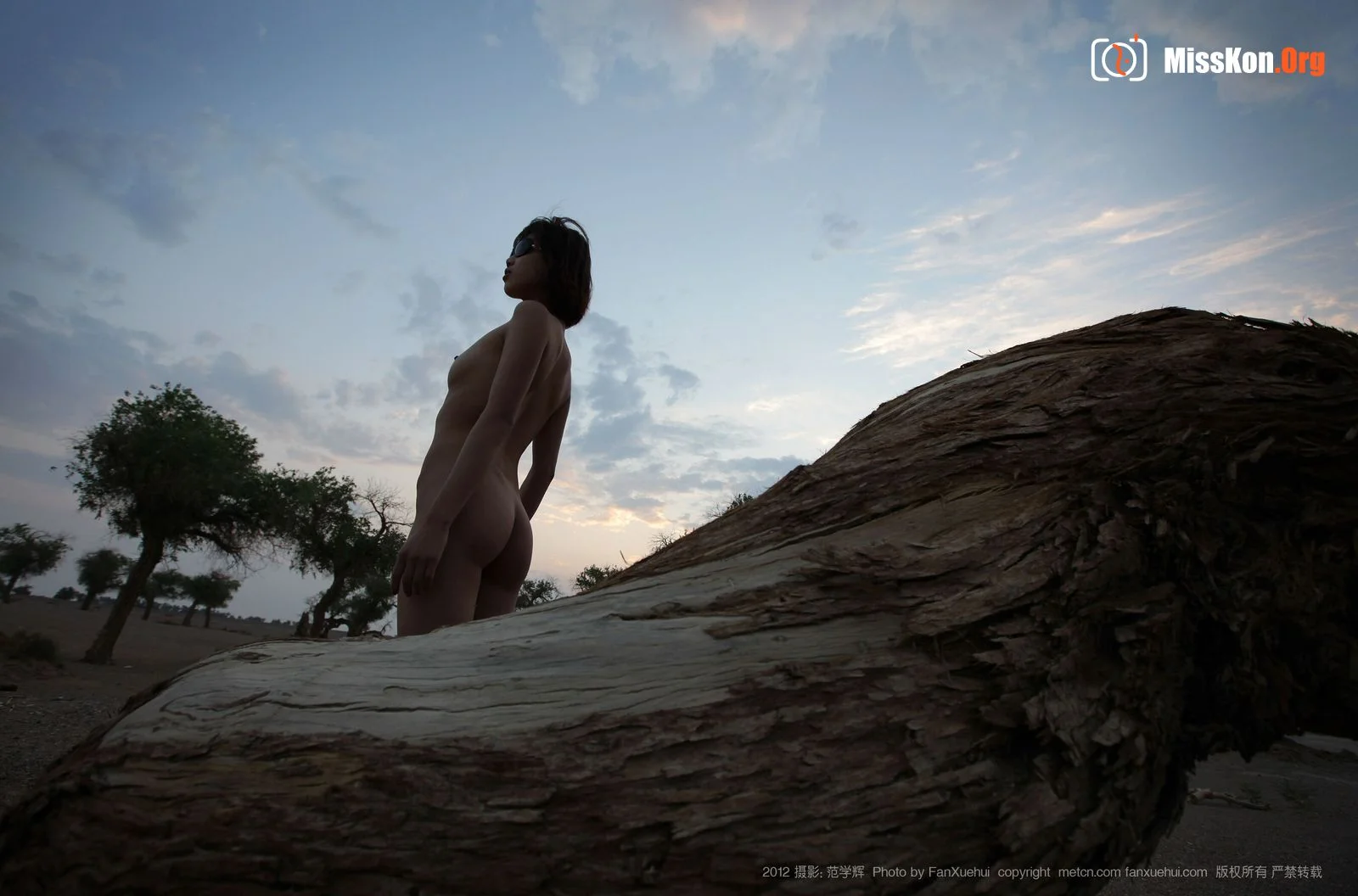 Xia Bing: Qingfeng Populus euphratica 1 (2012-07-27) - Photo 6