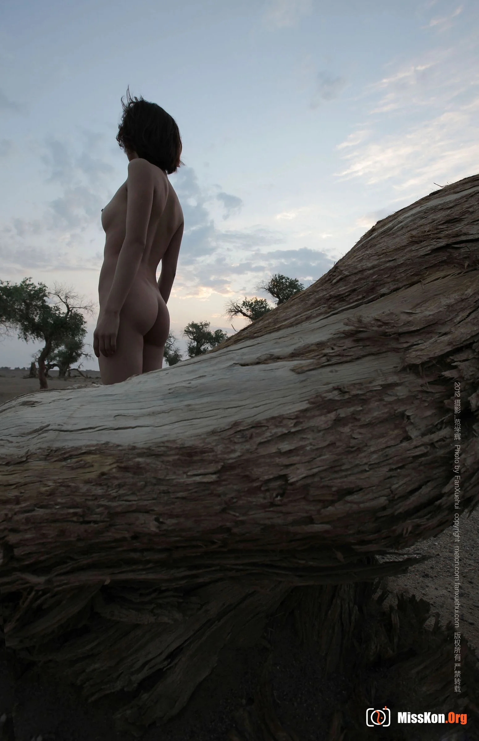 Xia Bing: Qingfeng Populus euphratica 1 (2012-07-27) - Photo 7