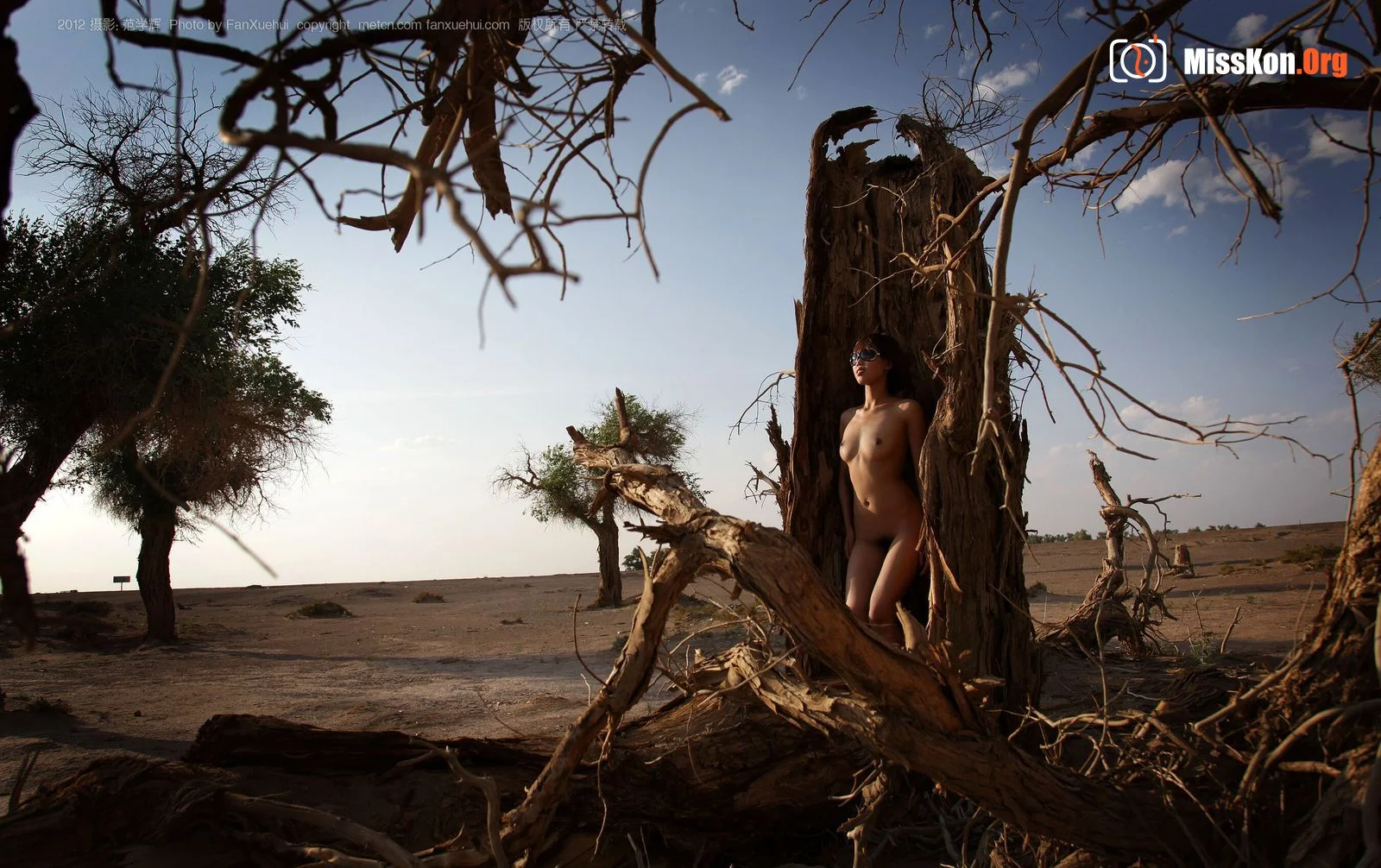 Xia Bing: Qingfeng Populus euphratica 3 (2012-08-22) - Photo 20