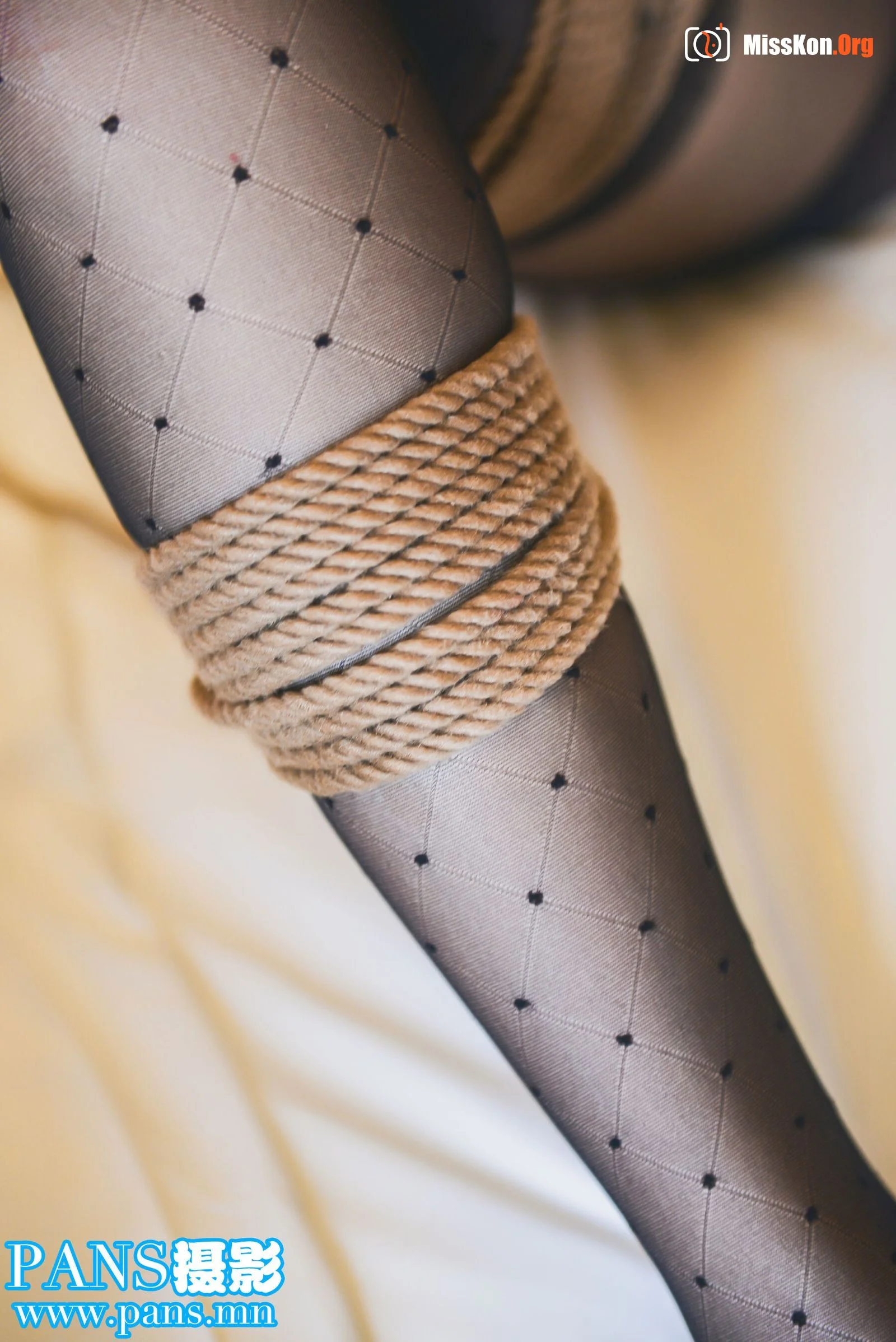Xiao Bai (Rope Art 0013) - Photo 8