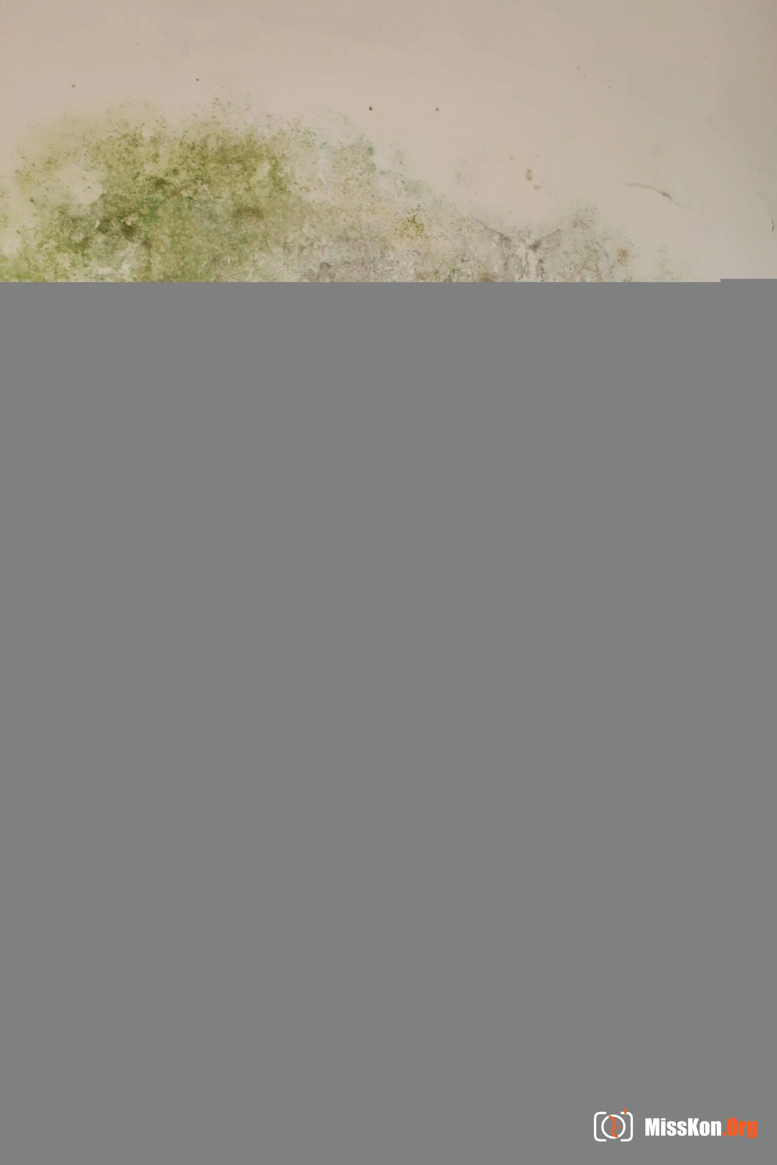 Xiaoya (2011-04-13) - Photo 18