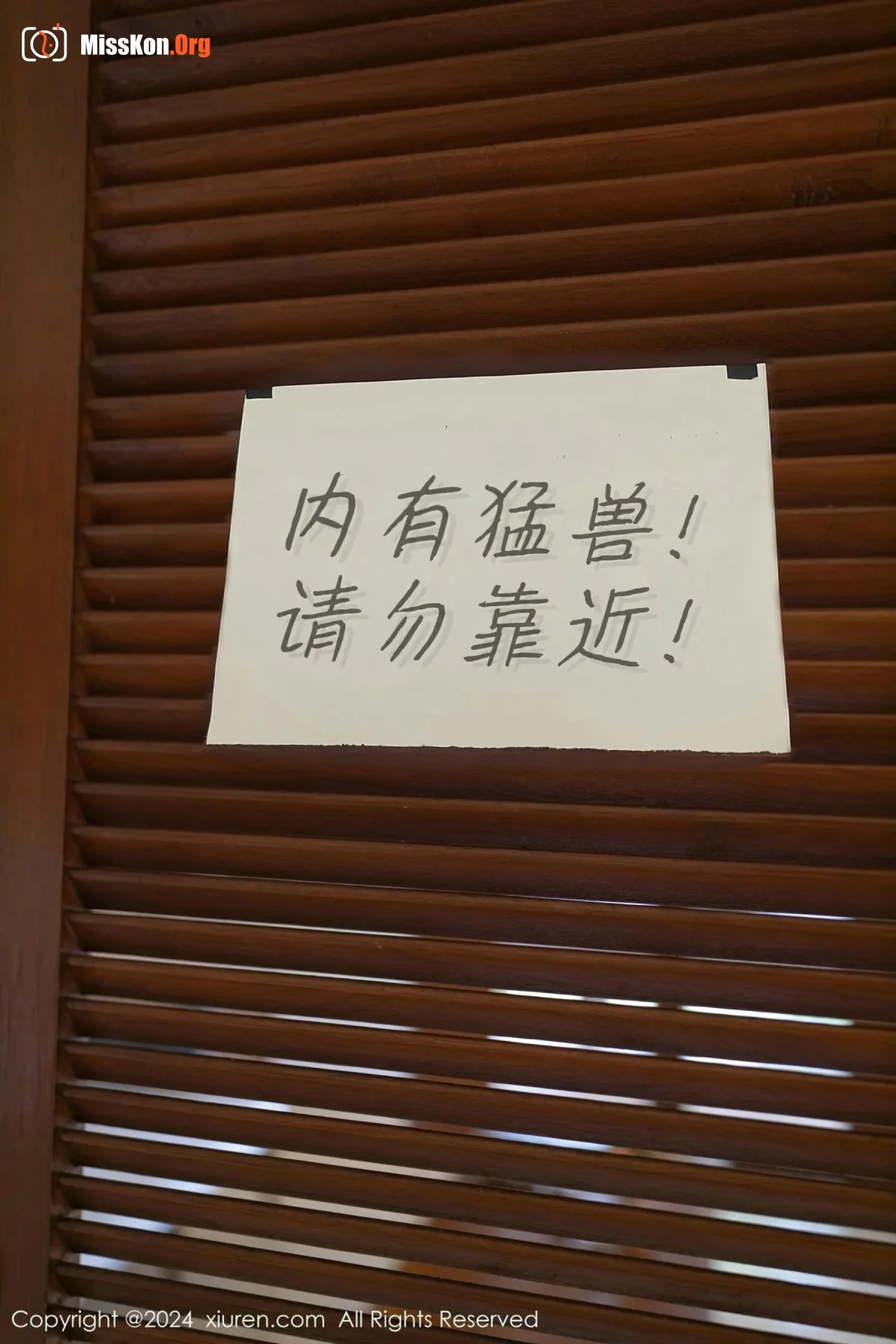 Xie Xiaoen - Photo 2
