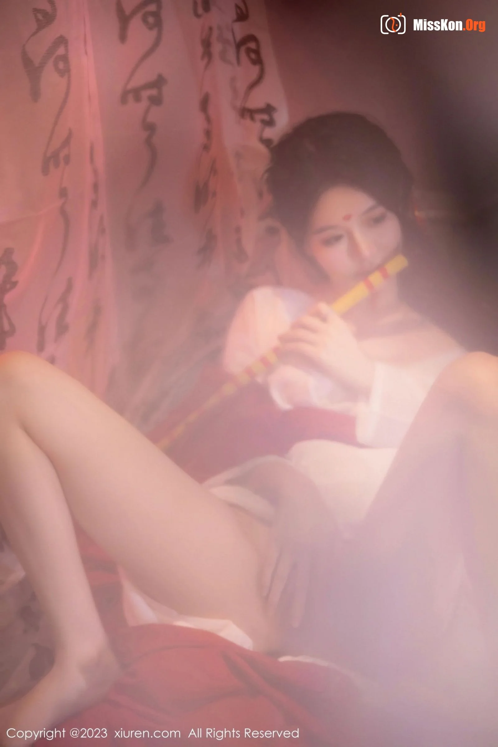 Xie Xiaoen - Photo 27