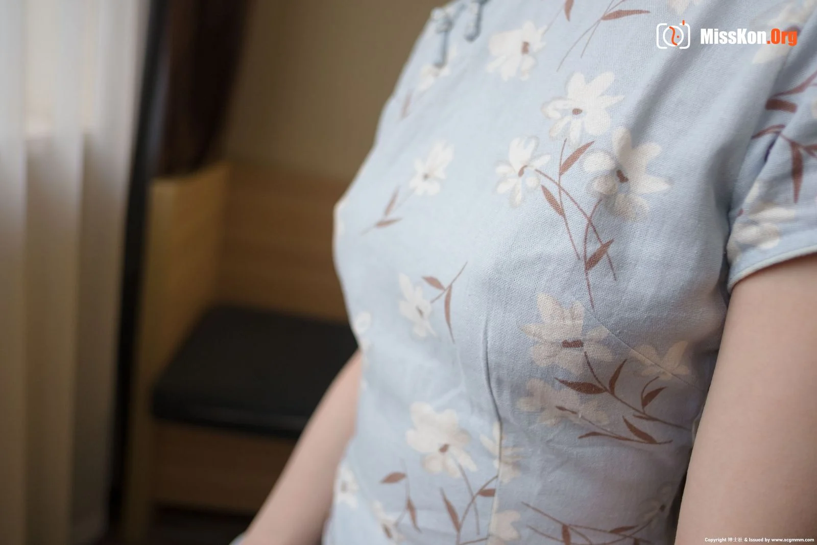 Xier Jiang: Bluegrass Cheongsam - Photo 12