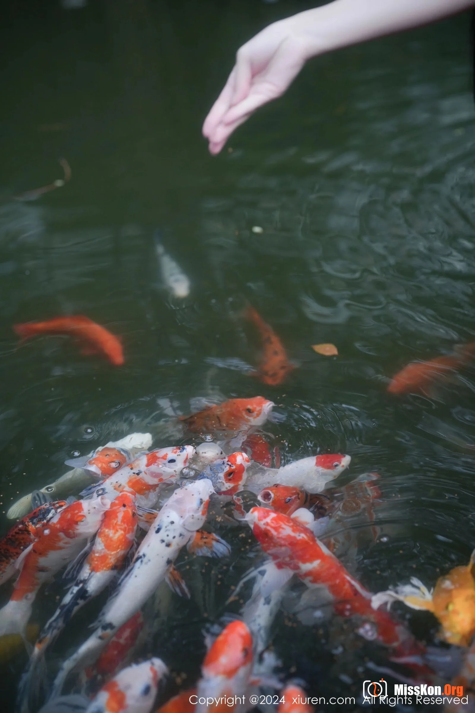 Yi Xueer - Photo 24