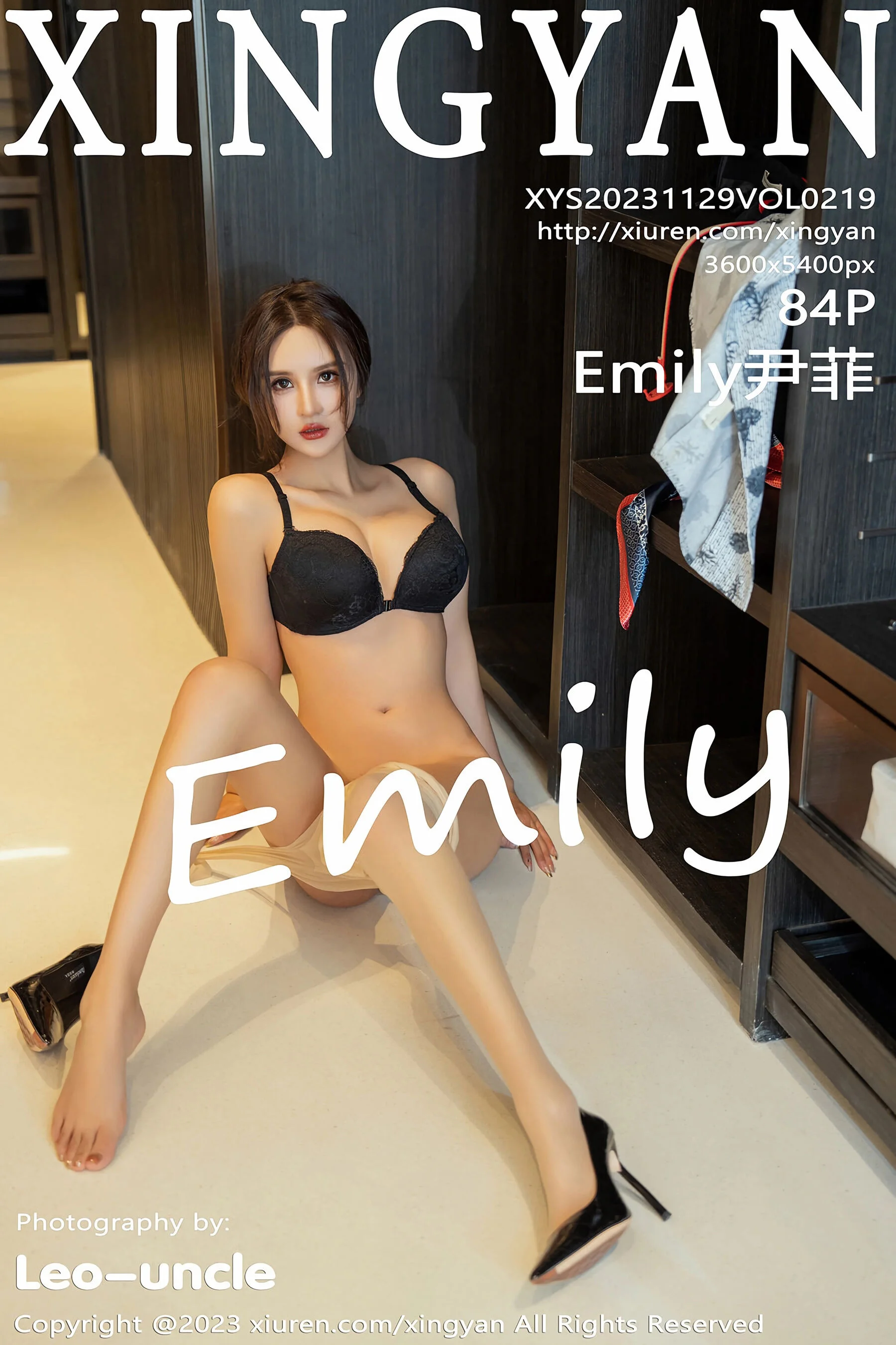 Yin Fei