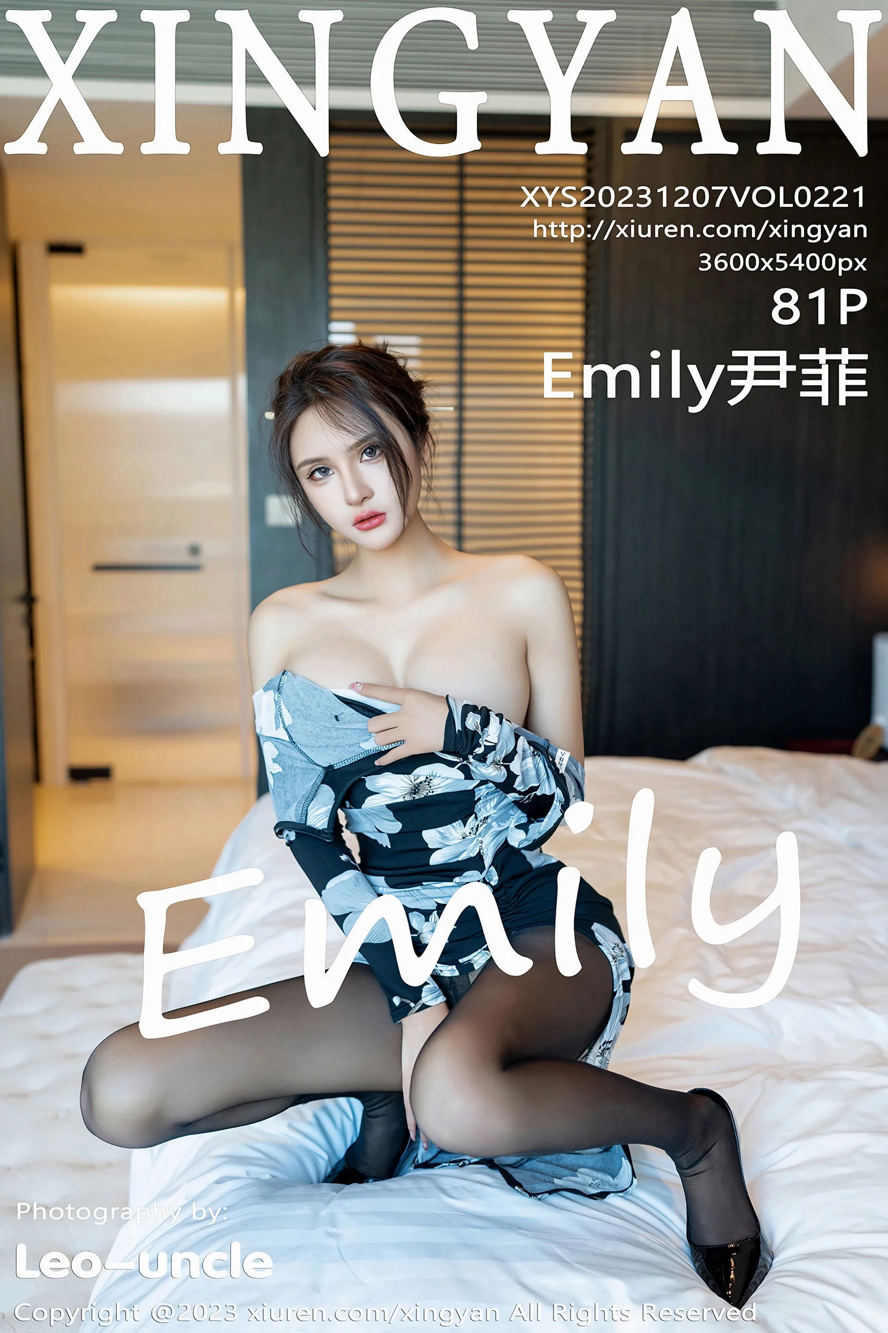 Yin Fei
