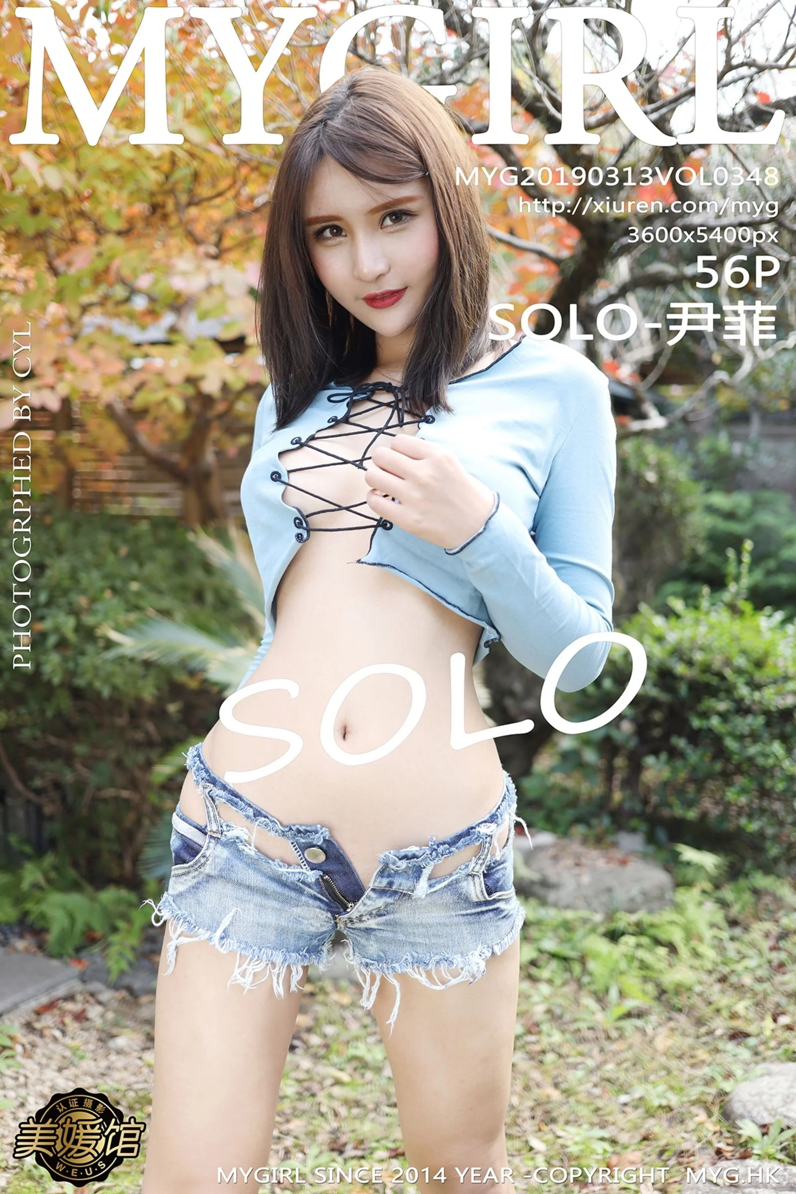 Yin Fei