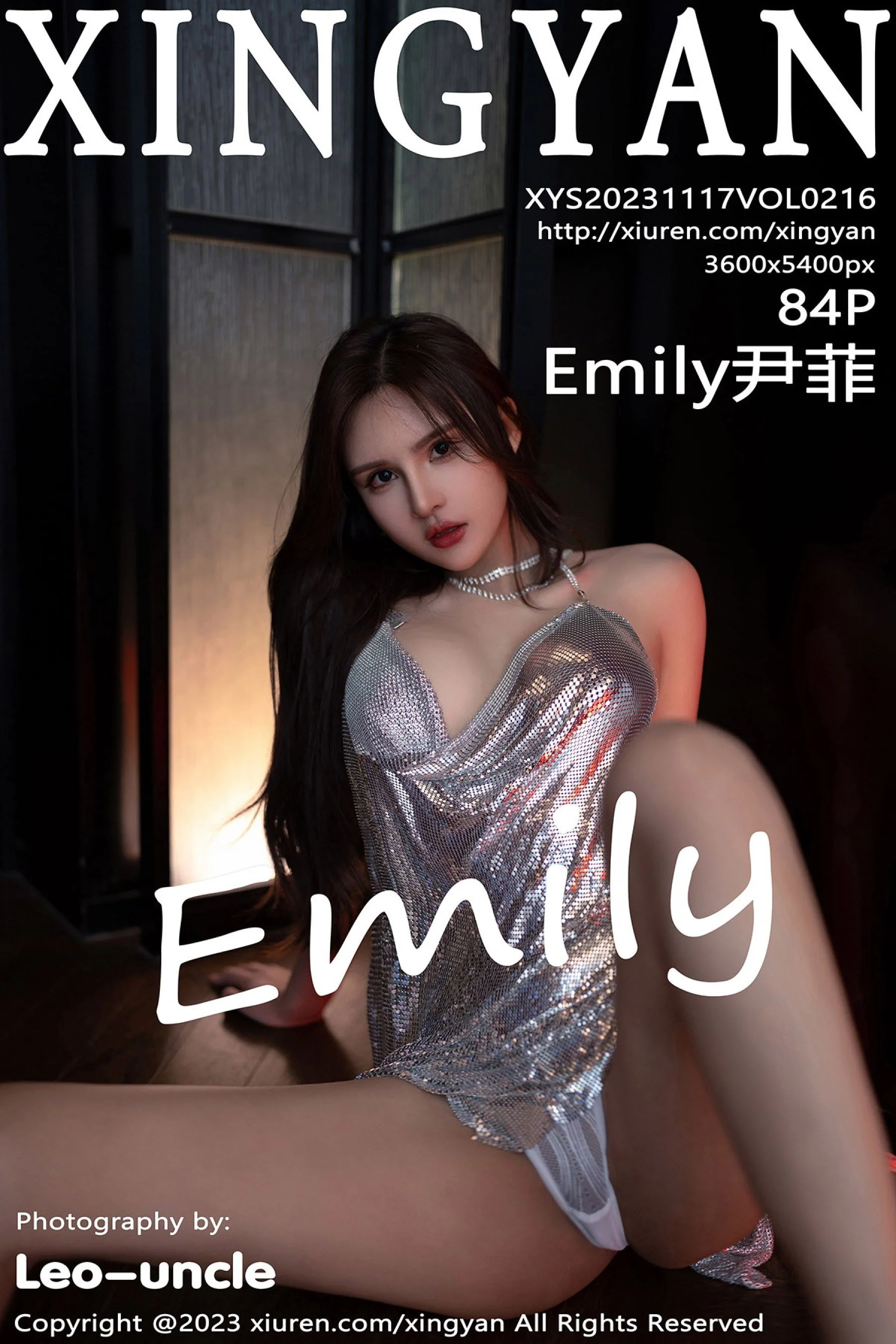 Yin Fei
