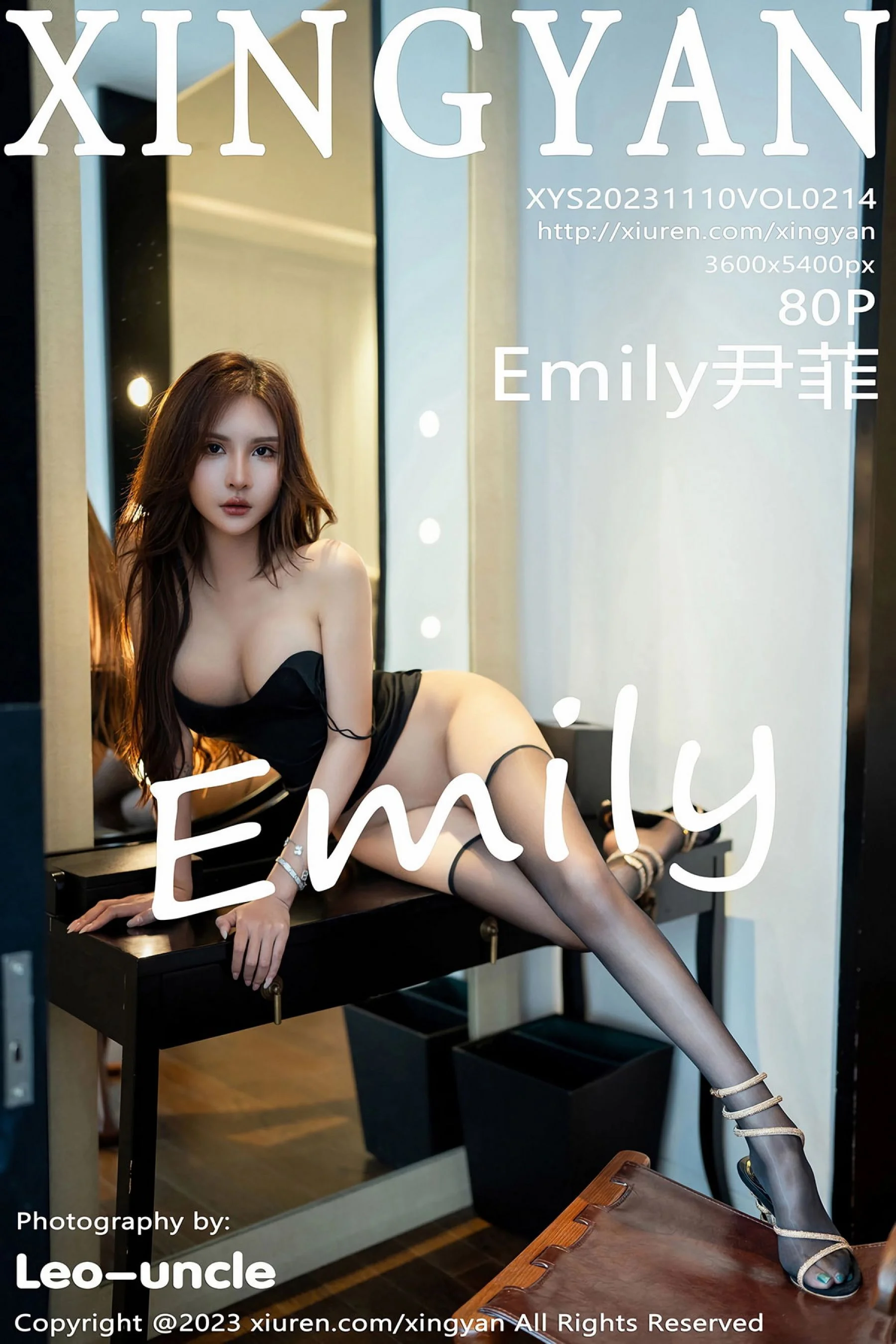 Yin Fei