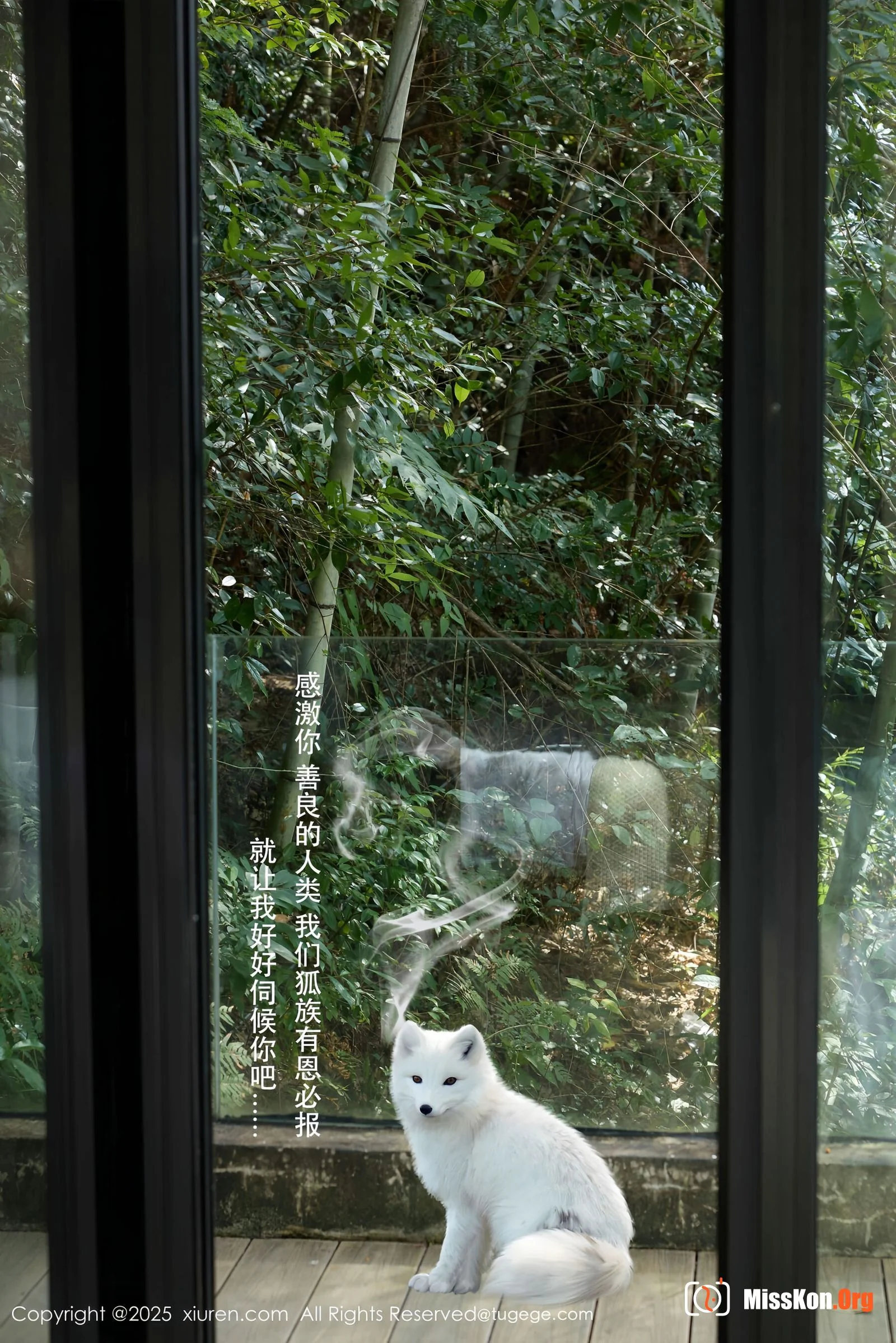Yin Tiantian - Photo 14