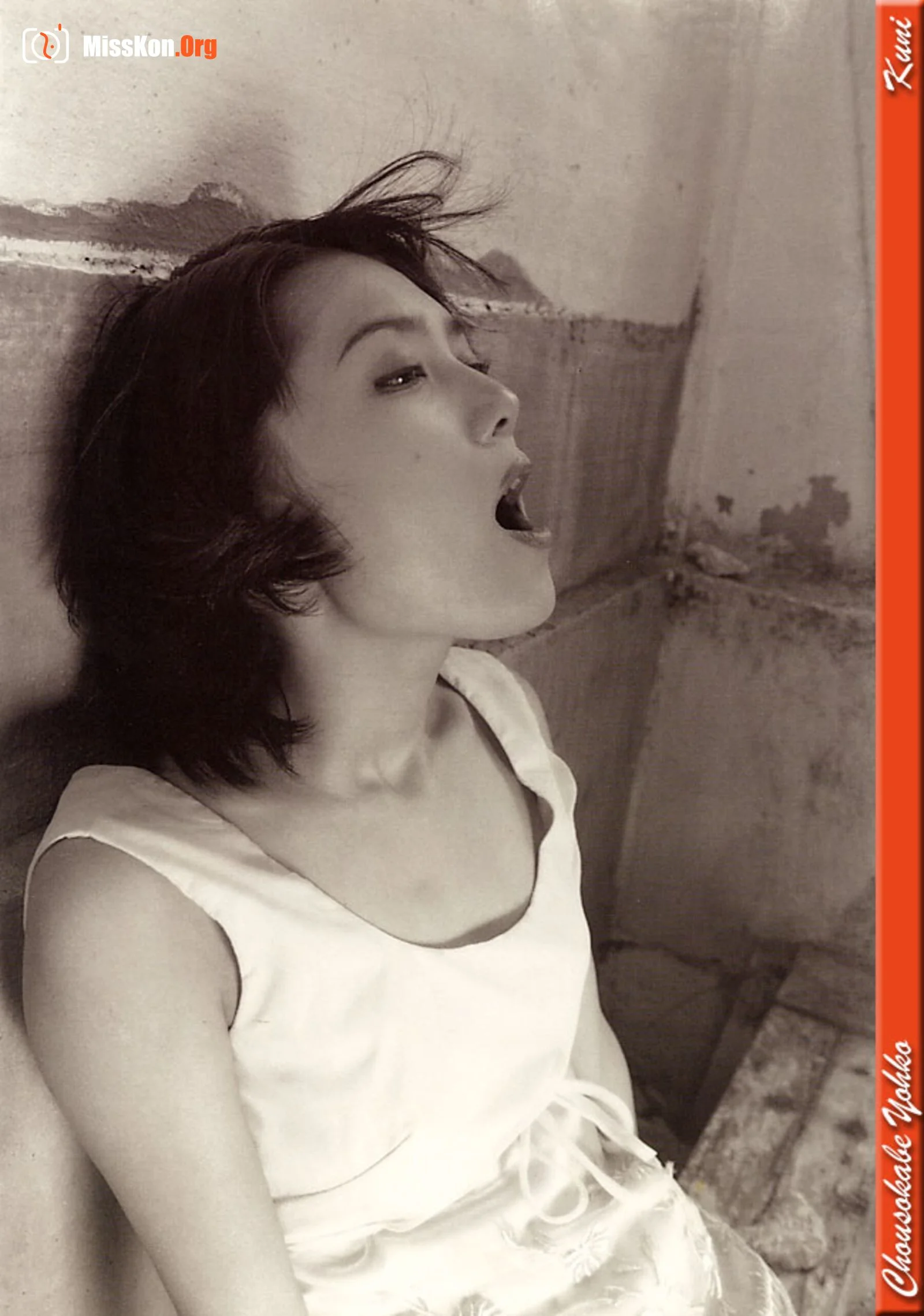 Yohko Chousokabe - Photo 2