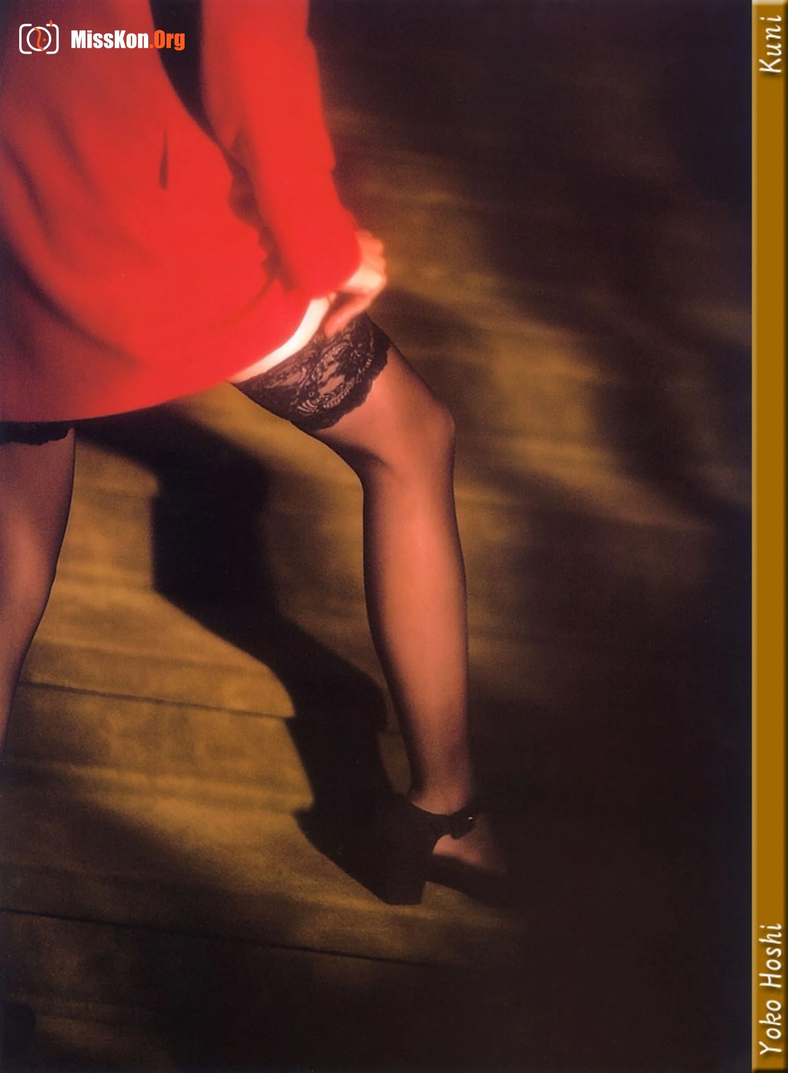 Yoko Hoshi - Photo 18