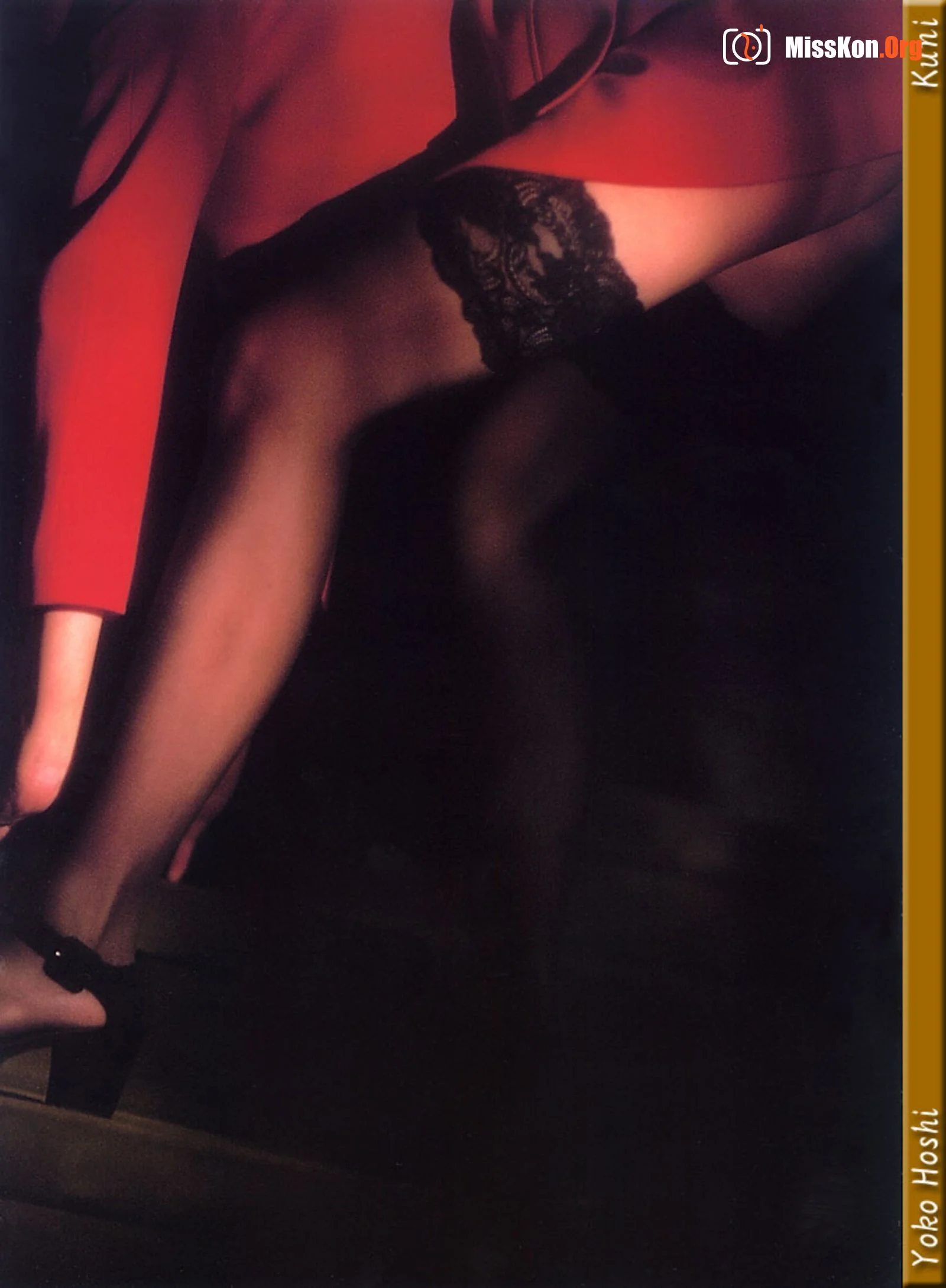 Yoko Hoshi - Photo 20