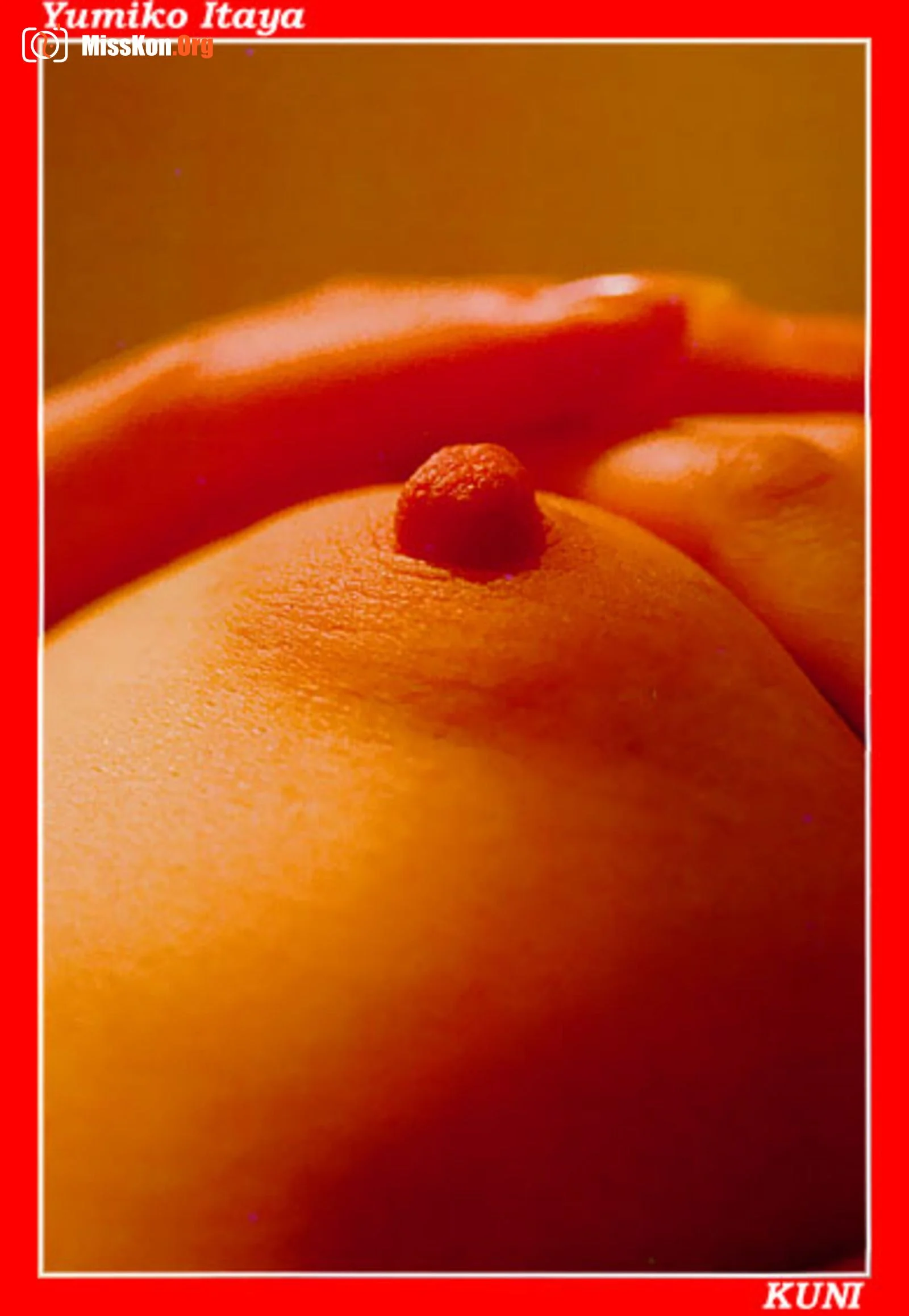 Yumiko Itaya - Photo 17