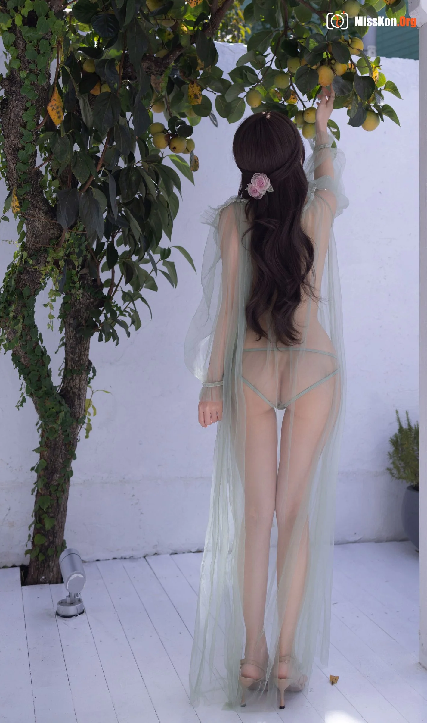 Yuzijiang Fish: Green tulle - Photo 2