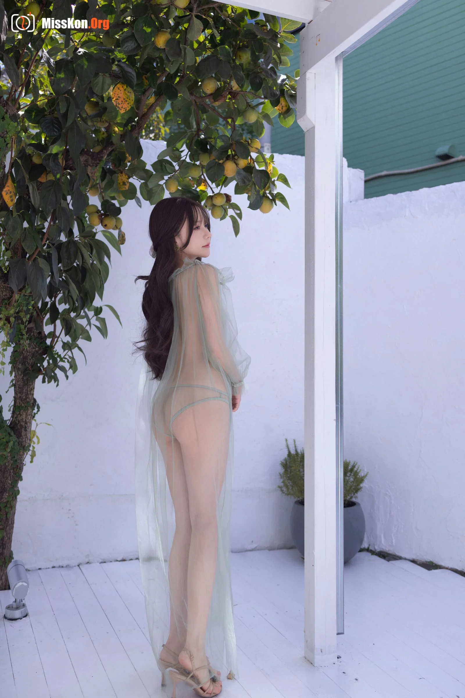 Yuzijiang Fish: Green tulle - Photo 4