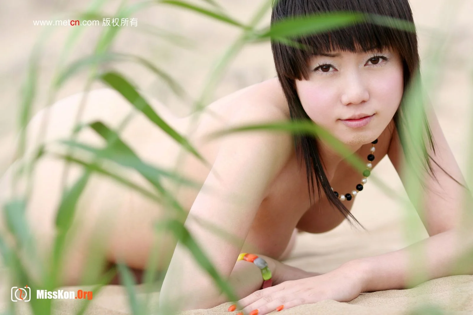 Zhang Xiaoyu: Sand Grass (2008-01-01) - Photo 14
